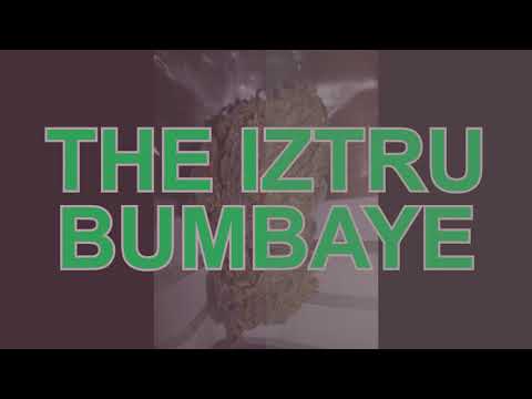 Major Lazer, The Flexican, FS Green & Busy Signal - Watch Out for This(The iztru Remix)