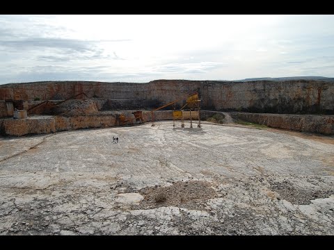 Sulle tracce dei dinosauri
