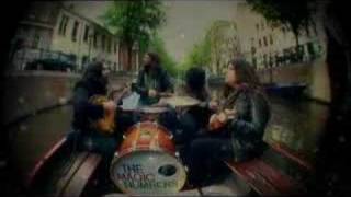 The Magic Numbers - 