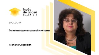 "Гигиена выделительной системы"