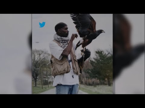 Man and Birds Send Powerful Message