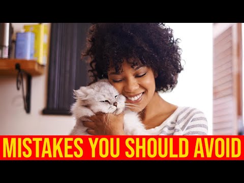 7 Mistakes To Avoid When House Training A Cat/ All Cats