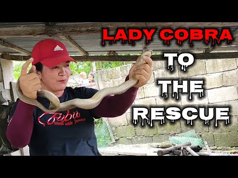 Lady cobra to the rescue | Tropang Ben Cobra