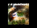 Pink Floyd - Remember a Day