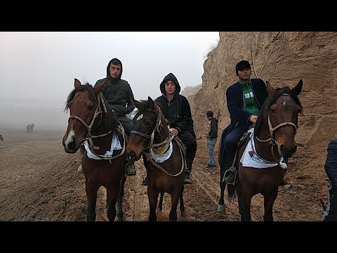ГУЛИСТОН ХАСАН ВА ХУСАН КУПКАРИ ТУЙИГА МАРХАМАТ 19.12.2019🏇🏇🏇