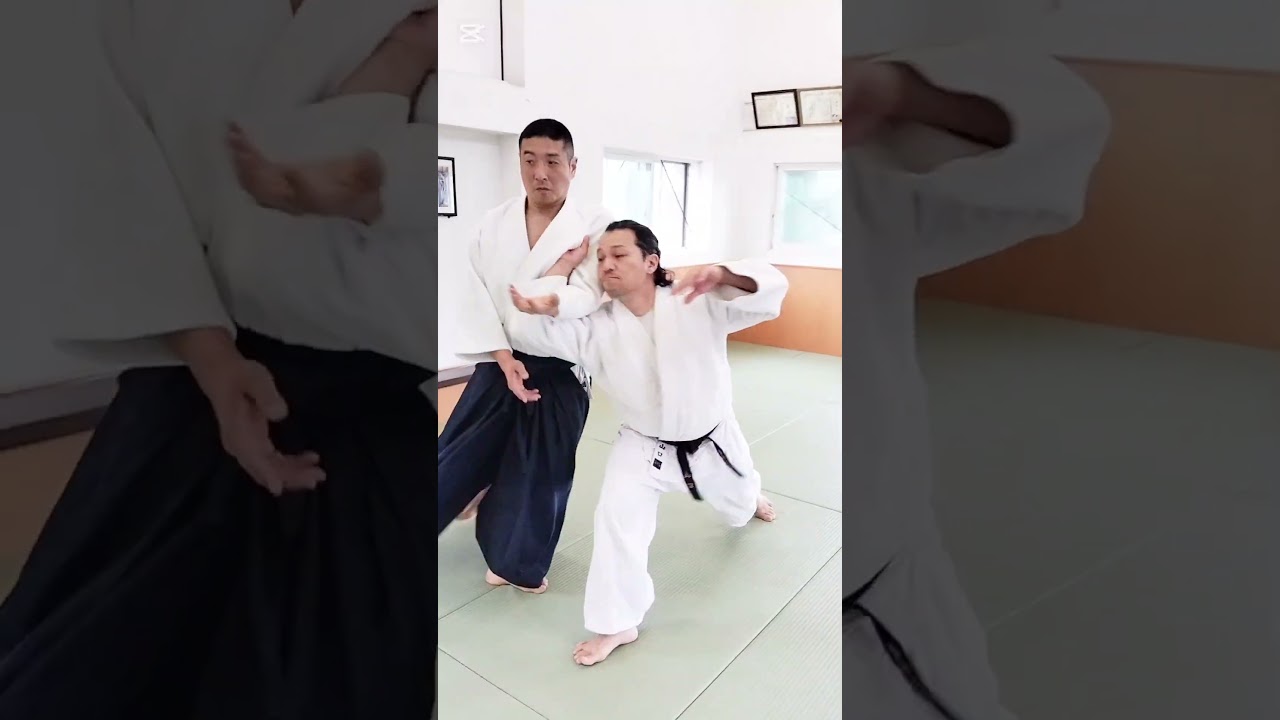 肩持ち呼吸投/側面入身投(二) #合気道 #aikido #martialarts