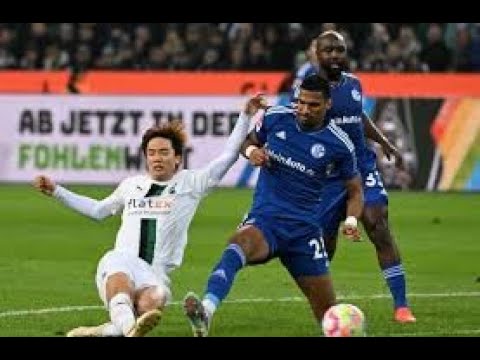 Ein langweiliger Grottenkick.😴BORUSSIA MÖNCHENGALDBACH 0:0 FC Schalke 04 Fohlenfunk #23