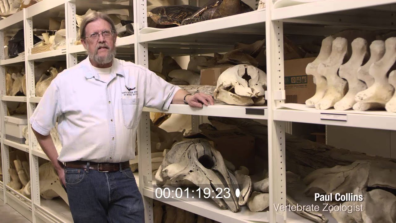 West of the West: Tales from California's Channel Islands