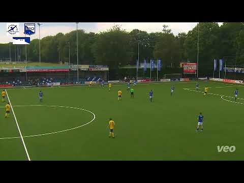 Samenvatting De Zweef - BWO