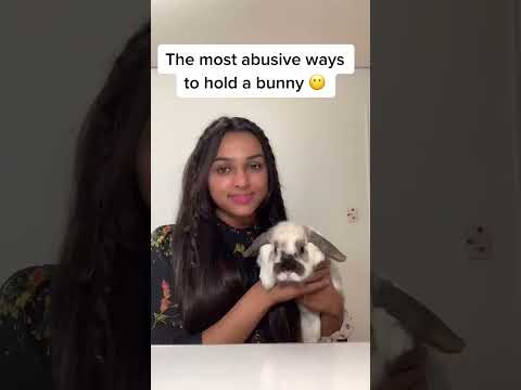 Most abusive ways to hold a bunny…