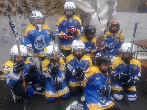 MAC - Jégkert SE 20121125