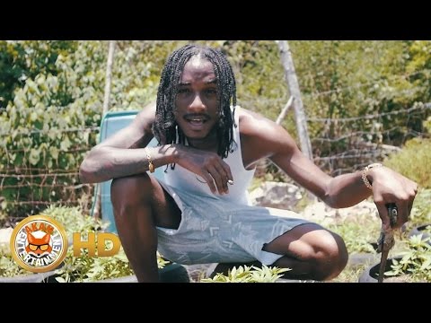 Jayds - Orange Hill [Official Music Video HD]