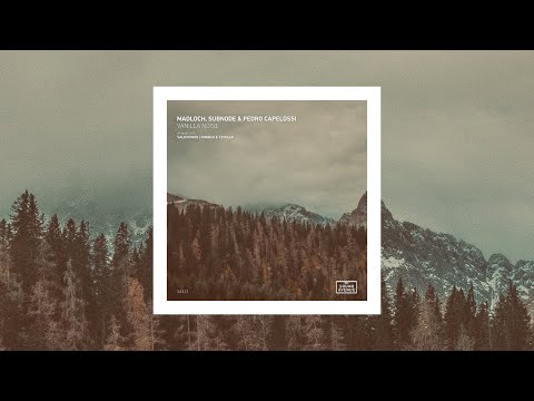 Madloch, Subnode, Pedro Capelossi - Vanilla Noise (Valdovinos Remix) [Sound Avenue]