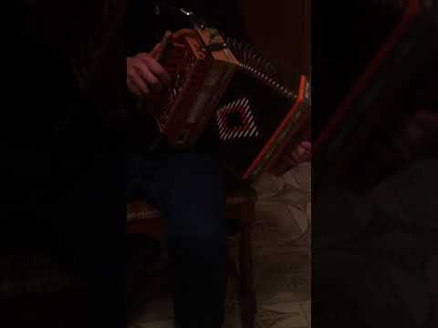 Tarantella calabrese solo organetto