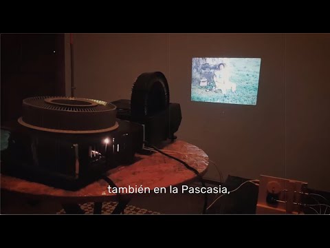 Fortalecimiento de proyectos de cine documental regional