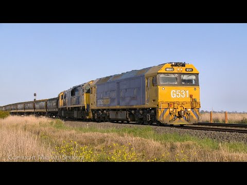 9157 Broad Gauge Pacific National Grain Train With G531 XR555 XR552 (26/9/2023) - PoathTV Railways