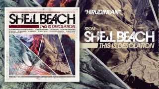 Shell Beach - Hirudinean