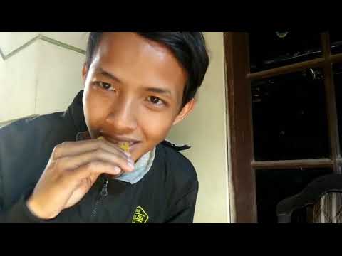 Saturn Magic - MY SNACKS by Esya G video DOWNLOAD