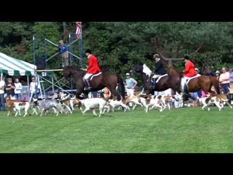 Norfolk Hunt Club--demo.MOV
