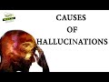 Causes of Hallucinations 