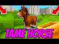 How To RIDE TAME HORSE In Hytale