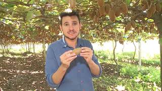 Miniatura do vídeo