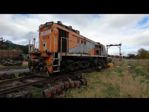 4819 walk Eskbank NSW.  Tue 24th May 2022