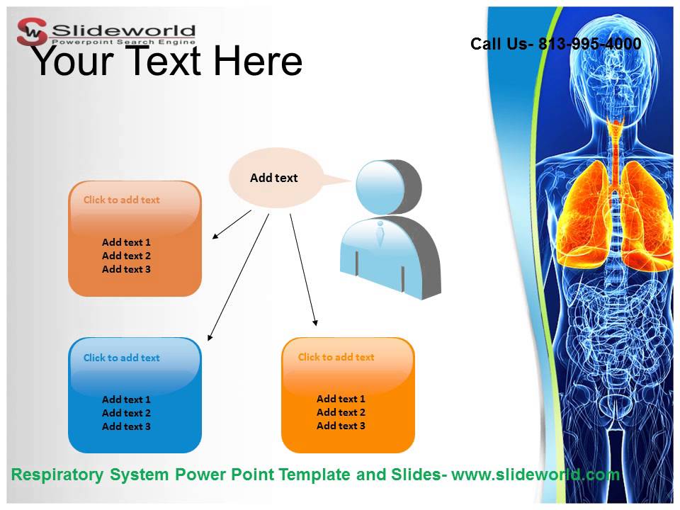 Respiratory System Powerpoint Template