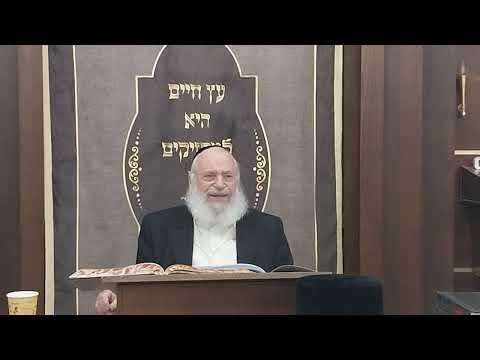 Does Halacha Follow the Minority? | Rav Asher Weiss on Miyut HaMatzei