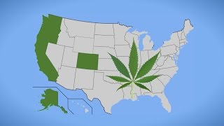 What Will Recreational Marijuana Legalization Mean for California? Q&A with Lynne Lyman