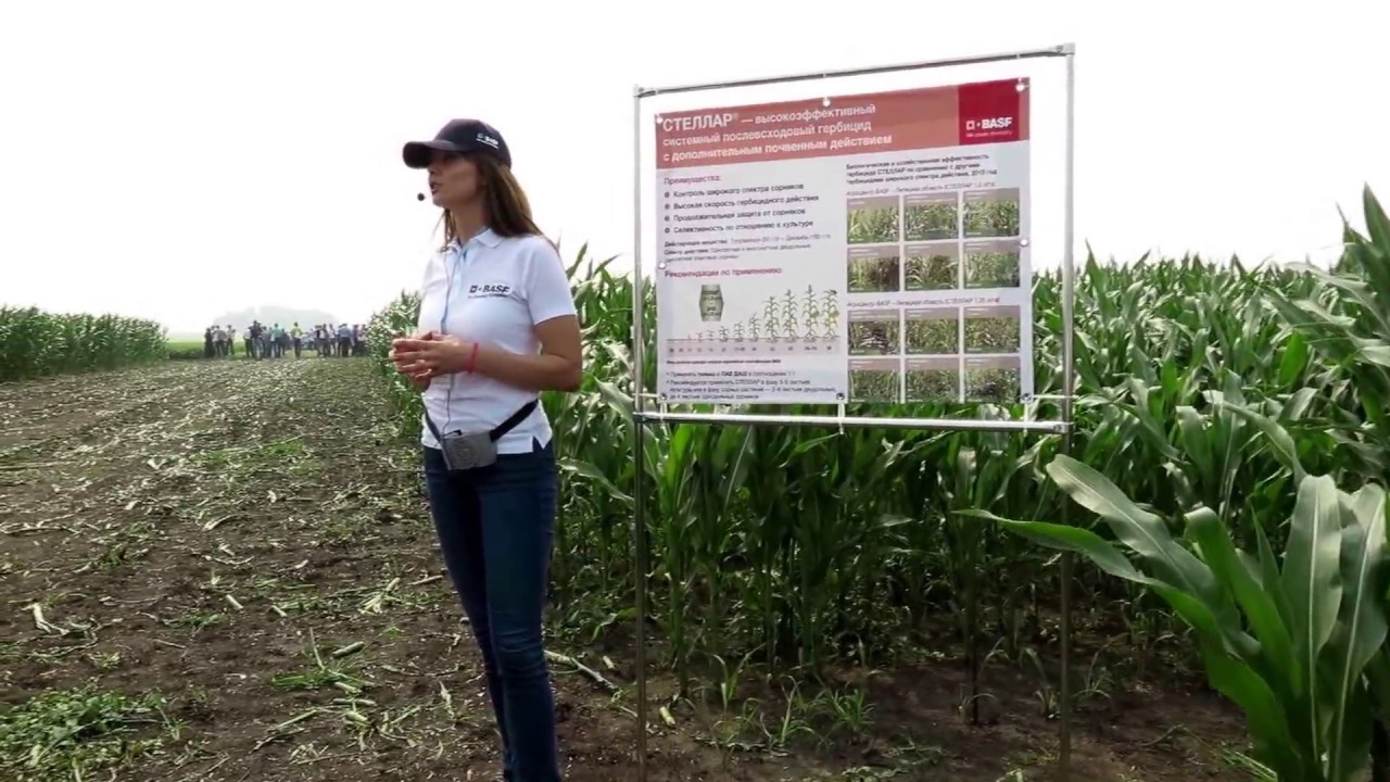 Гербіцид Стеллар + Метолат