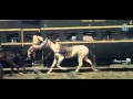 Captain Prabakhar Vijayakanth Train Fight