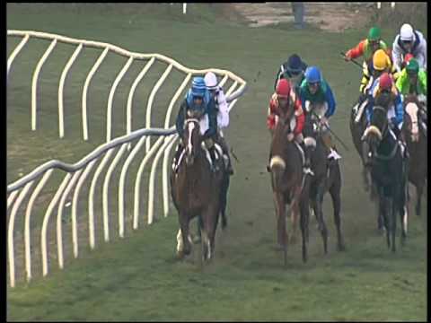 Galoppo 16/12/2015 - 4° corsa