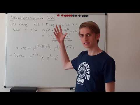 Differentialgleichungssysteme