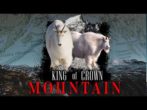 Extreme Mountain Goat Hunt Film