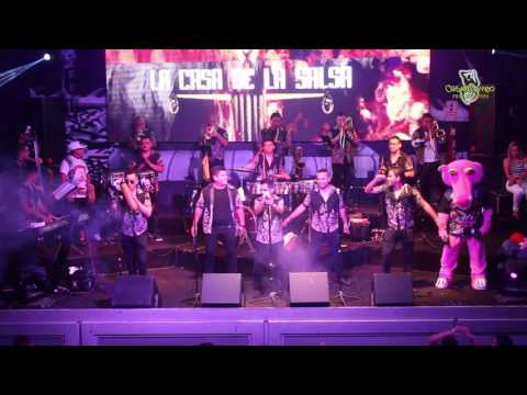 ♫♫Guaguanco En Jazz - ZaperokoLa Resistencia Salsera Del Callao - Casa De La Salsa