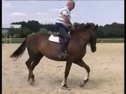 incurvation-report de poids par J.d'Orgeix.wmv