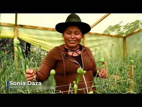 Flores de Chuquisaca