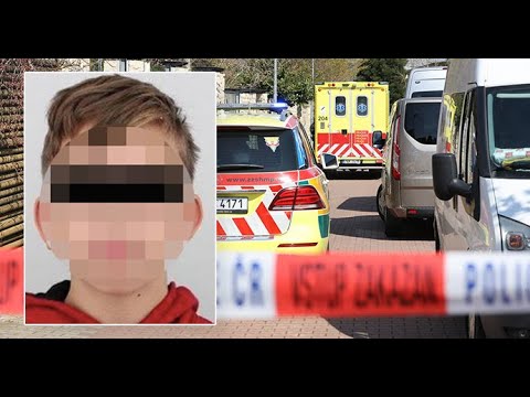 ✅  Pobodání v Dolních Chabrech: Mladík (14) zaútočil na kamaráda (14) a jeho matku (40)?! Vězení se