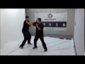WING CHUN DESCENDANTS OF WISDOM WARRIORS SI HING ZILIC