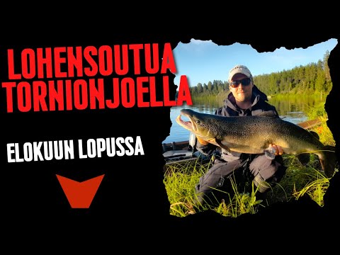 LOHENSOUTUA TORNIONJOELLA ELOKUUN LOPUSSA (TORNIONJOKI - EEMELIVAAPUT - LOHENKALASTUS)