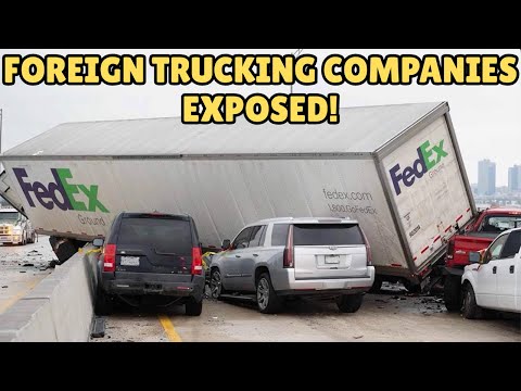 SPECIAL REPORT | Foreign Trucking Companies EXPOSED | WFAA Reaction