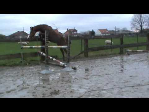 Quality Time x Quarco 2j