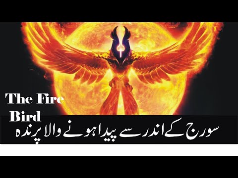 Phoenix: The Bird which is Reborn from Ashes | Mythological of phoenix