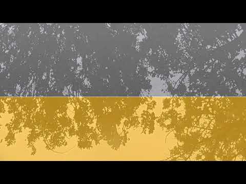 Växthus Canopia by Palram Essence Aluminiumram med UV-Skyddad Polykarbonat & Ventilationsfönster, 9 m²