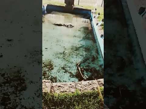 Fuente de Plaza La Paz Canelones República Oriental del Uruguay