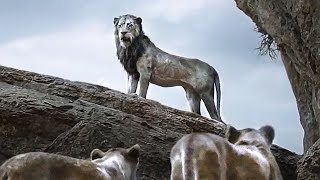 THE LION KING King Scar Trailer (2019)