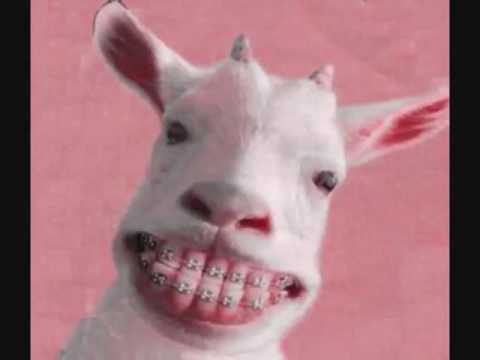 MOLOTOV - LA PUTA DE LA CABRA