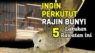 Download lagu Want to make a sound of a hard-working turtle? Do these 5 treatments mp3