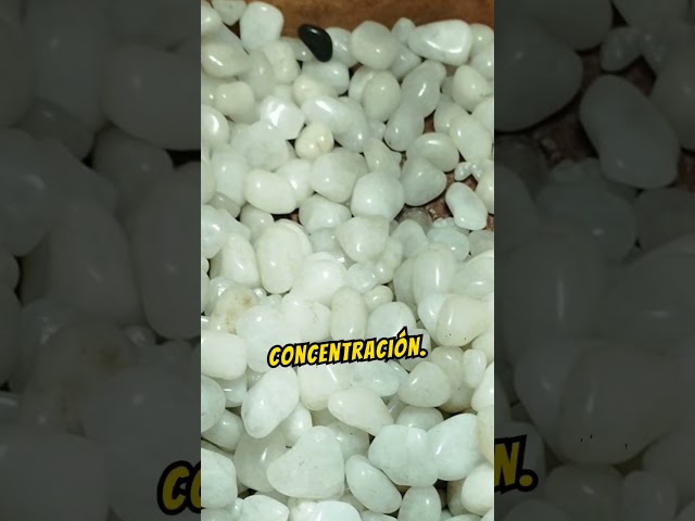 Vídeo relacionado con Figura de Daga de Cristal Natural Tallado de 18 cm, de Cuarzo Pulido - 1 Pieza (selección aleatoria) - Cuarzo Transparente